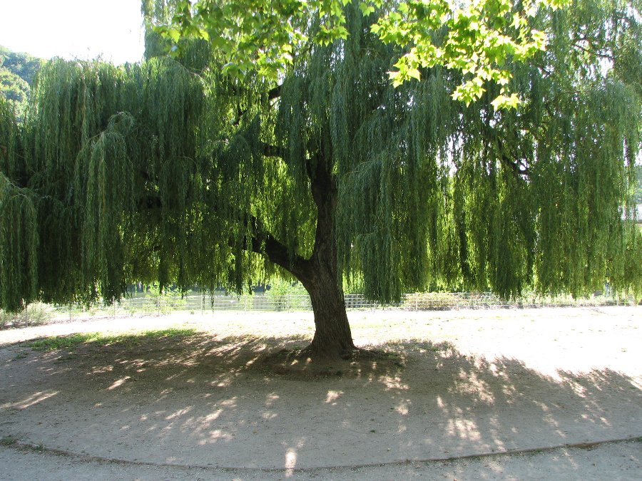 Le centre ville - Ville de Besançon - Photo n33