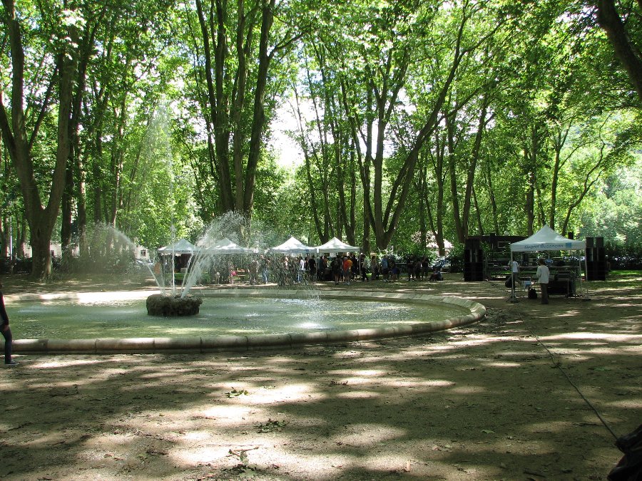 Son et Ambiance - Bezen Tongs 2009 - Photo n2