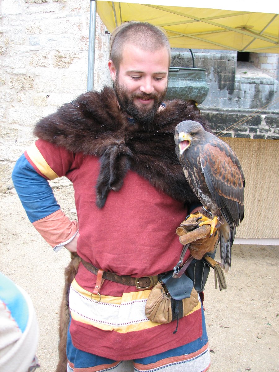 Fauconnerie - Fête médiévale au Château de Joux (25) - Photo n17