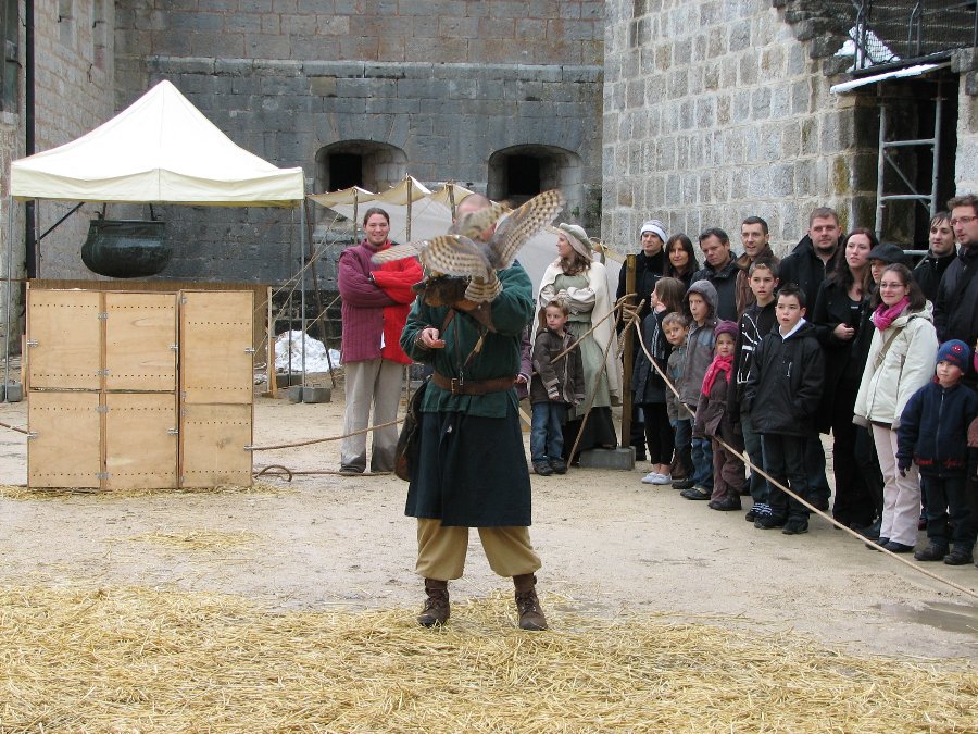 Fauconnerie - Fête médiévale au Château de Joux (25) - Photo n24