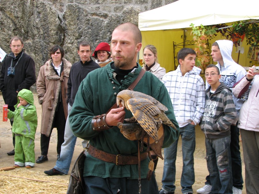 Fauconnerie - Fête médiévale au Château de Joux (25) - Photo n26