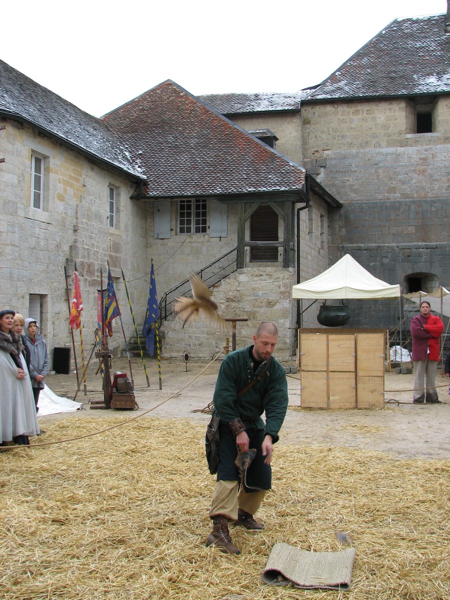 Fauconnerie - Fête médiévale au Château de Joux (25) - Photo n28