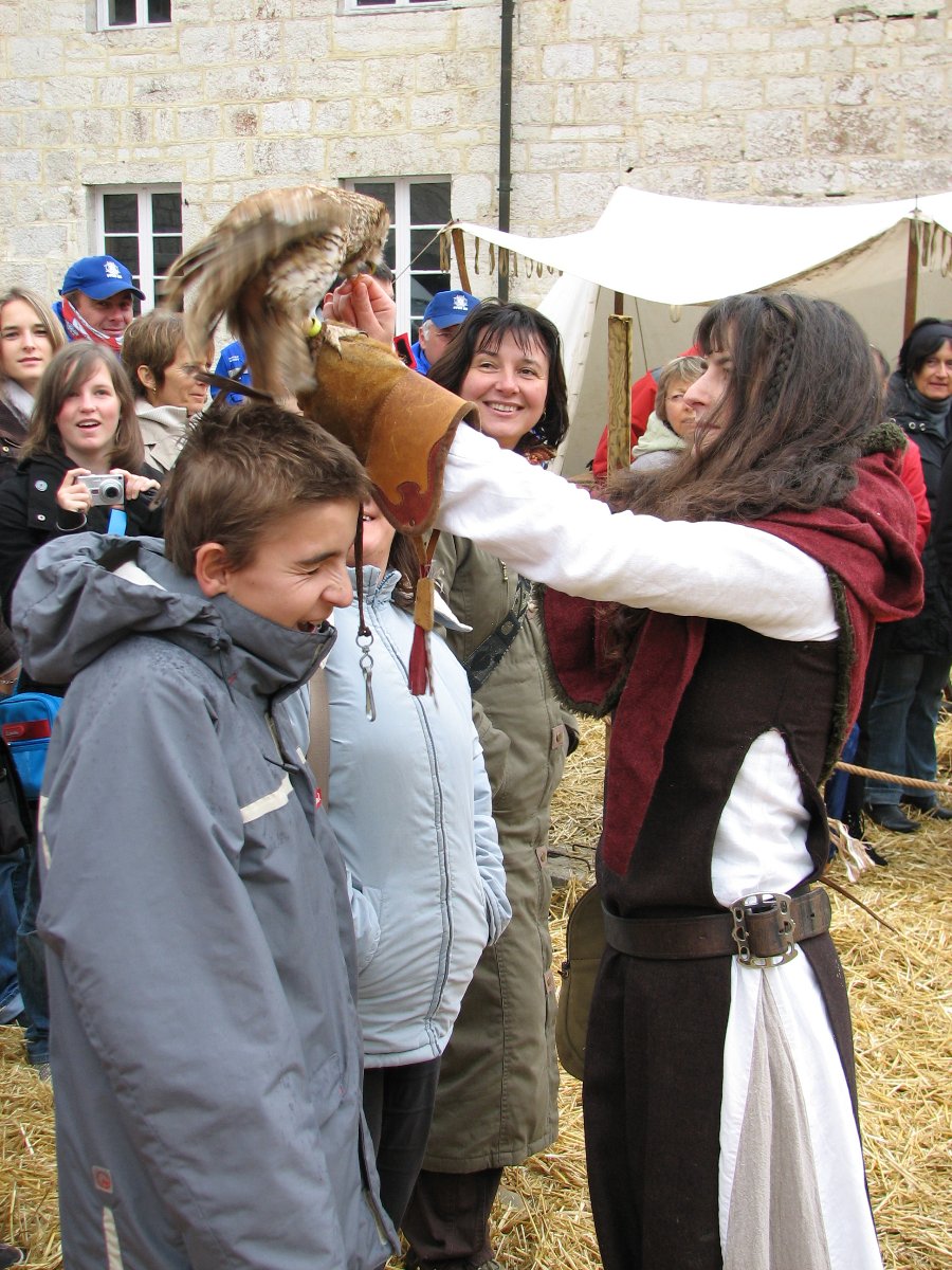 Fauconnerie - Fête médiévale au Château de Joux (25) - Photo n34
