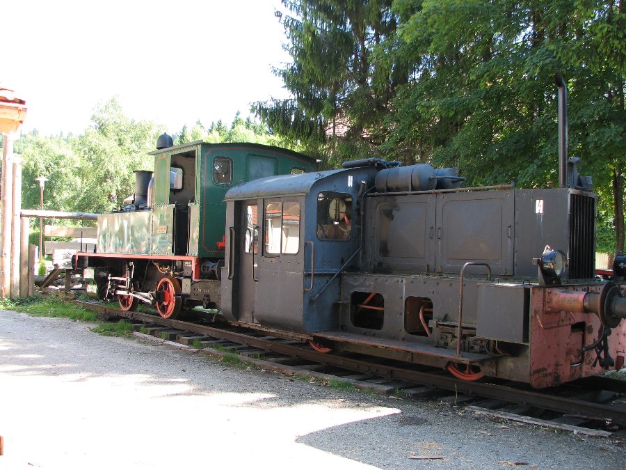 Les locomotives - Le Conifer - Train touristique à vapeur - Photo n5