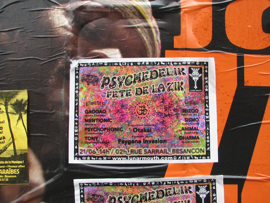 Lunarmouth - Fête de la musique - Photo n20