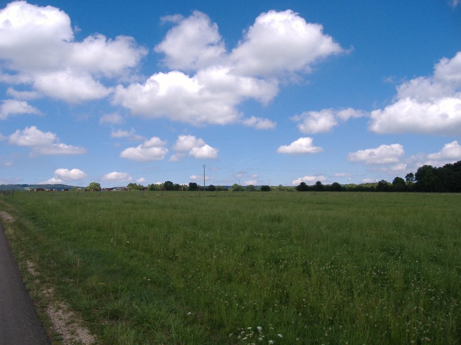 Fort de Belvoir - Forts, châteaux et ruines en Franche-Comté - Photo n3