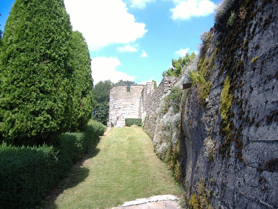 Fort de Belvoir - Forts, châteaux et ruines en Franche-Comté - Photo n15