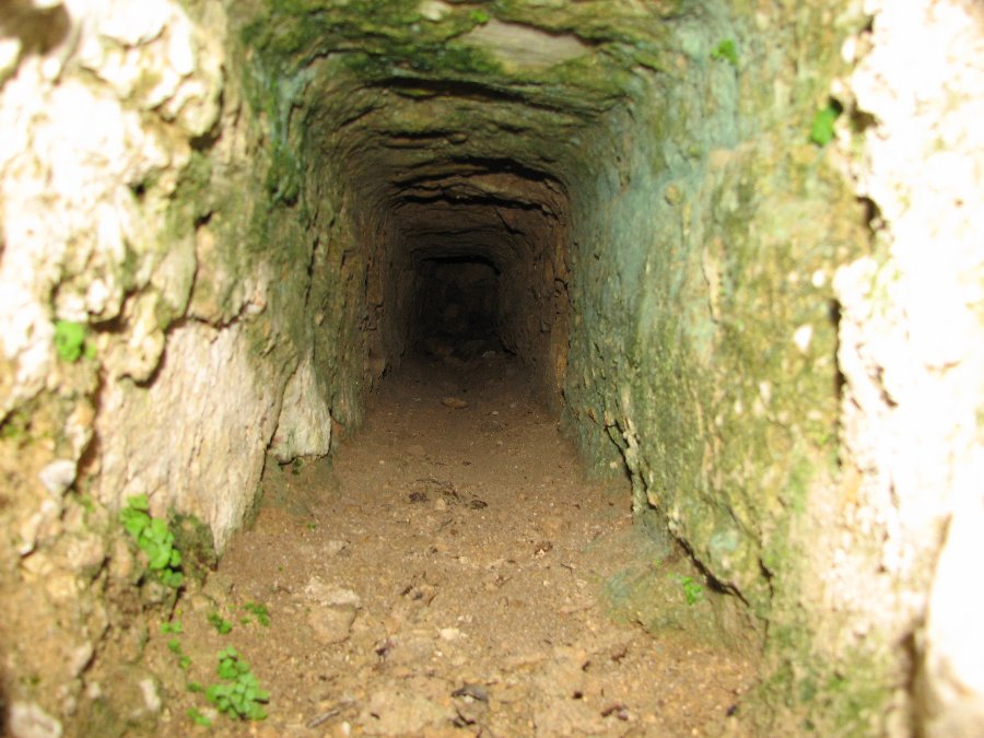 Fort de Montfaucon - Ruines - Forts, châteaux et ruines en Franche-Comté - Photo n52