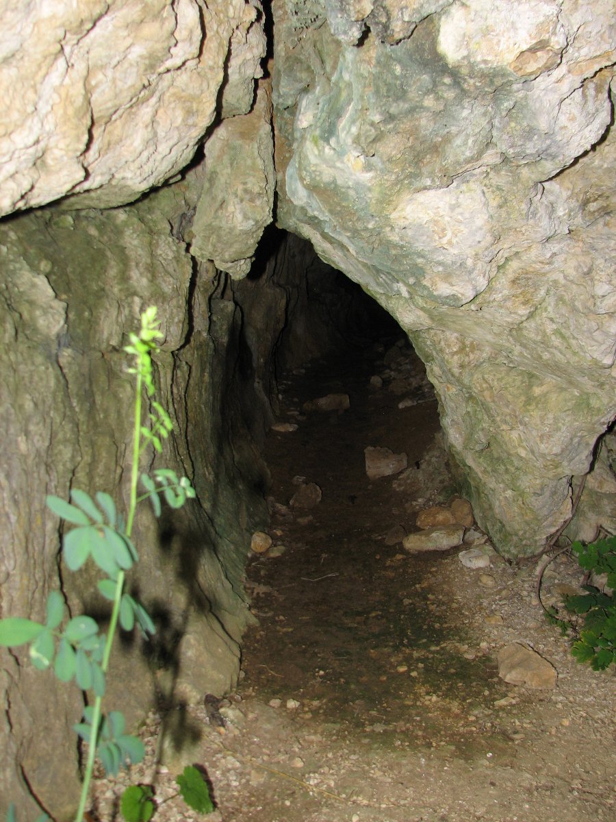 Fort de Montfaucon - Ruines - Forts, châteaux et ruines en Franche-Comté - Photo n66