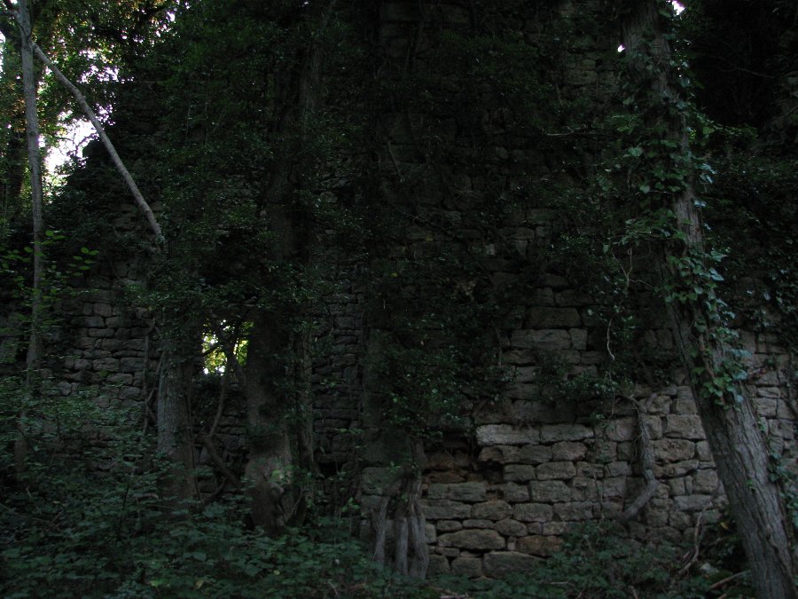 Fort de Montfaucon - Ruines - Forts, châteaux et ruines en Franche-Comté - Photo n78