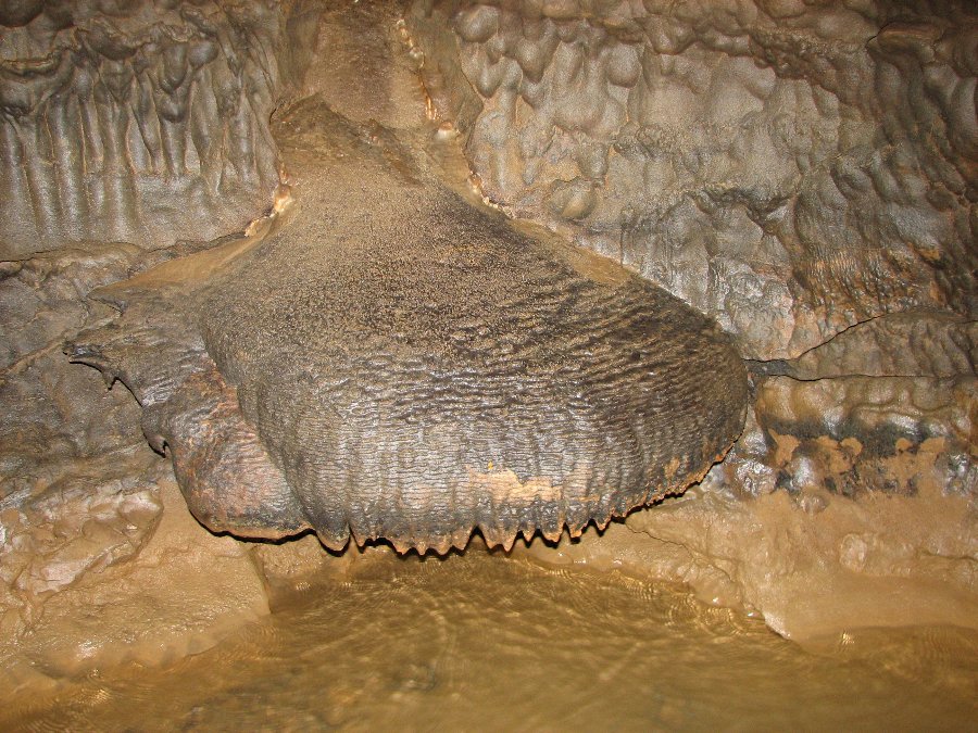 Expédition de 2006 - Grotte de Romain (25) - Photo n71