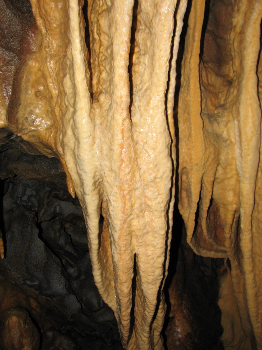 Expédition de 2006 - Grotte de Romain (25) - Photo n81