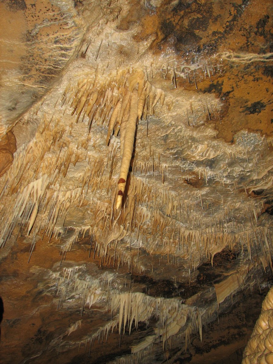 Expédition de 2007 - Grotte de Romain (25) - Photo n46