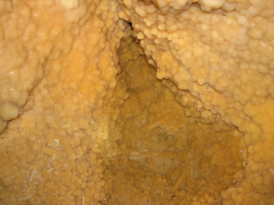 Expédition de 2007 - Grotte de Romain (25) - Photo n77