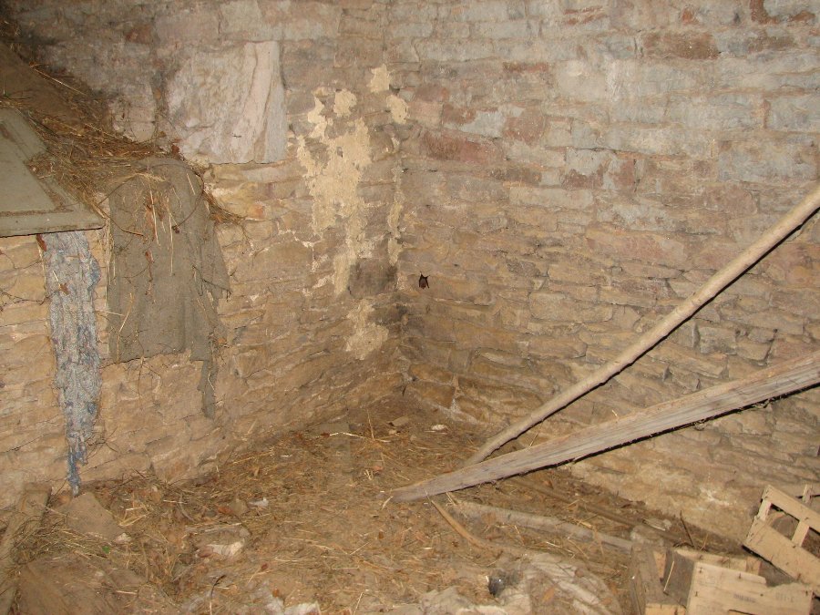 Le Château - Fête médiévale au Château de Gondenans-Montby (70) - Photo n31