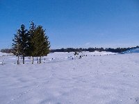 Paysage du Doubs sous la neige Monuments et paysages Comtois photo n3