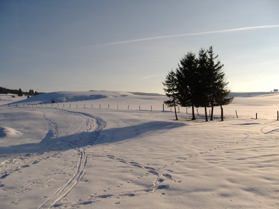 Paysage du Doubs sous la neige - Monuments et paysages Comtois - Photo n2