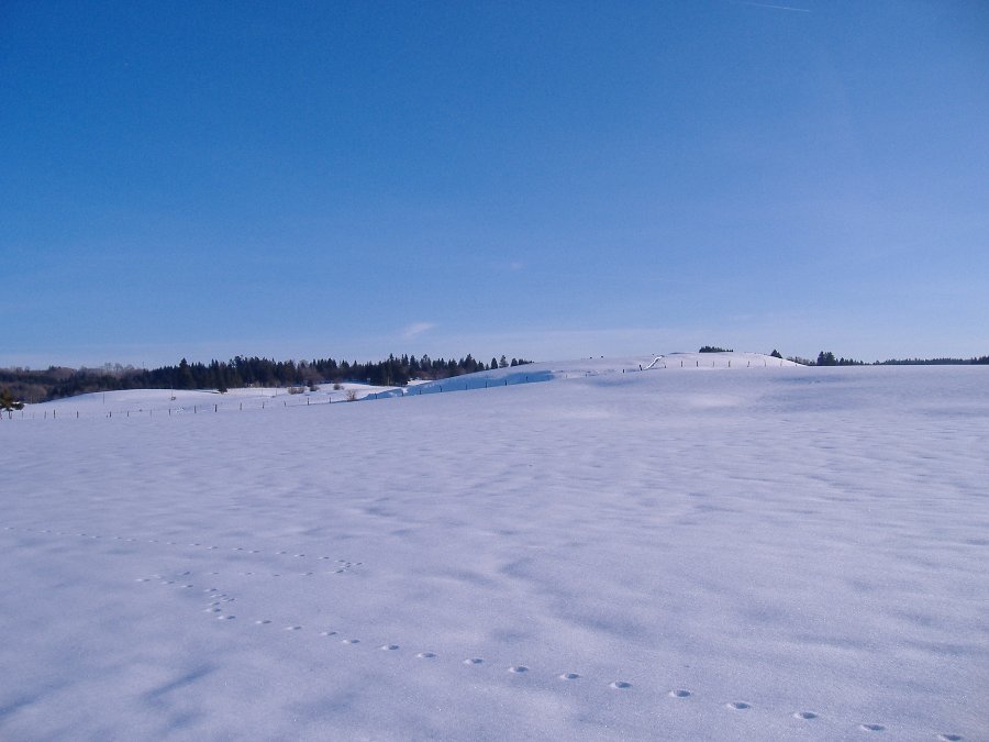 Paysage du Doubs sous la neige - Monuments et paysages Comtois - Photo n6