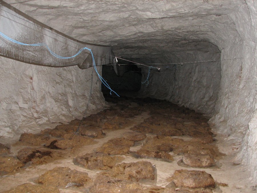 Visite des mines de Rougemontot - Journées du patrimoine 2008 - Photo n11
