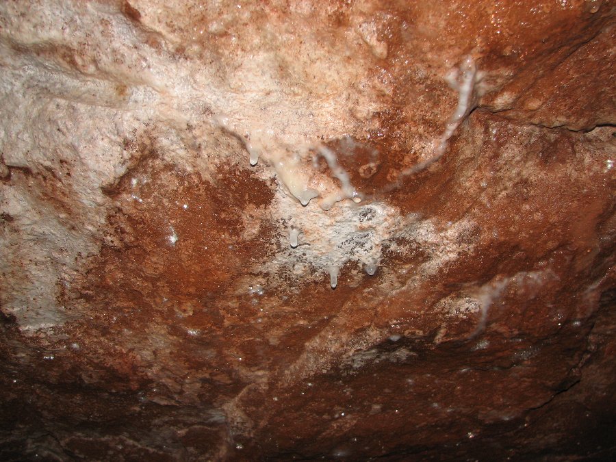 Visite des mines de Rougemontot - Journées du patrimoine 2008 - Photo n87