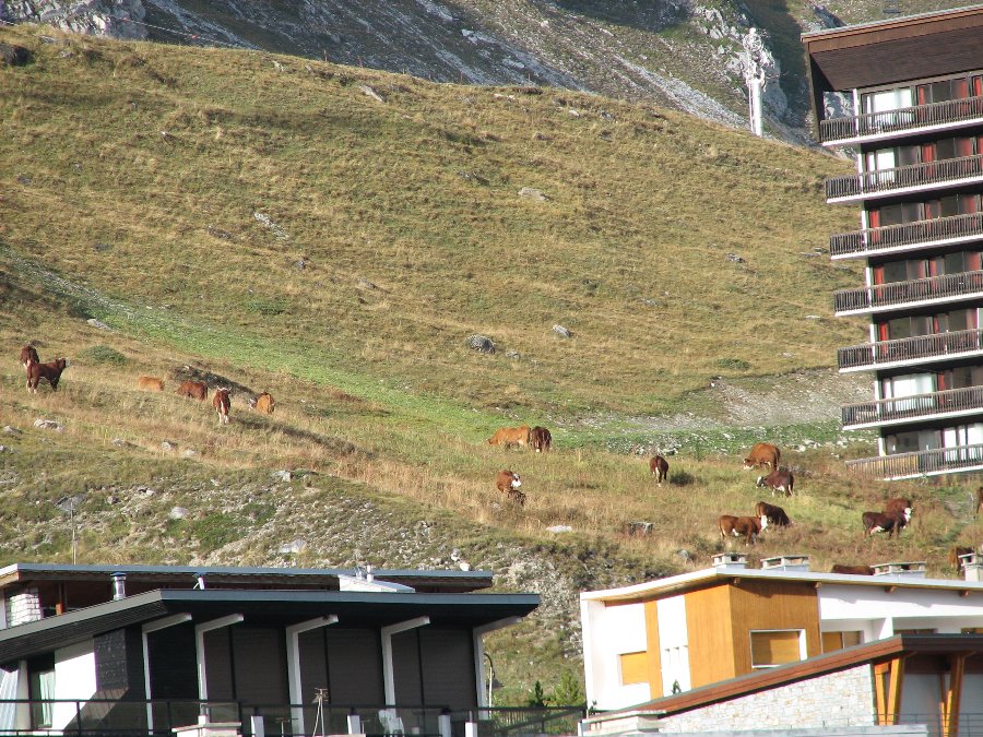 La Station - Ski dété à Tignes - Photo n13